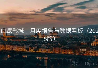 白鹭影城｜月度报告与数据看板（2025版）
