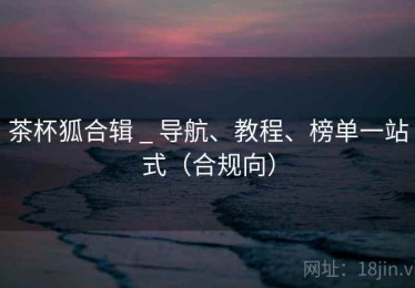 茶杯狐合辑 _ 导航、教程、榜单一站式（合规向）