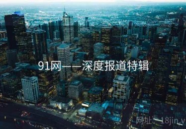 91网——深度报道特辑