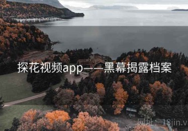 探花视频app——黑幕揭露档案