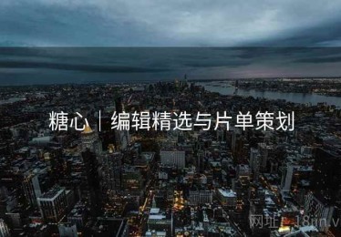 糖心｜编辑精选与片单策划