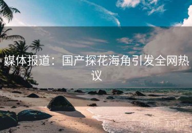 媒体报道：国产探花海角引发全网热议