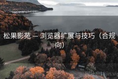 松果影苑 — 浏览器扩展与技巧（合规向）
