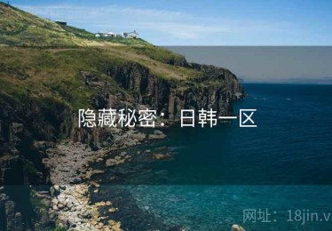隐藏秘密：日韩一区