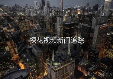 探花视频新闻追踪