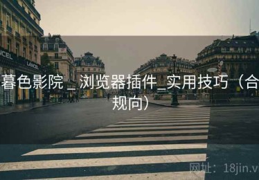 暮色影院 _ 浏览器插件_实用技巧（合规向）