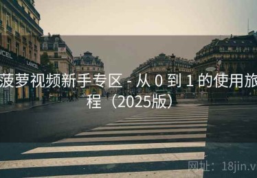 菠萝视频新手专区 - 从 0 到 1 的使用旅程（2025版）