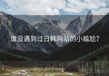 谁没遇到过日韩网站的小尴尬？