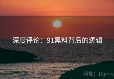 深度评论：91黑料背后的逻辑