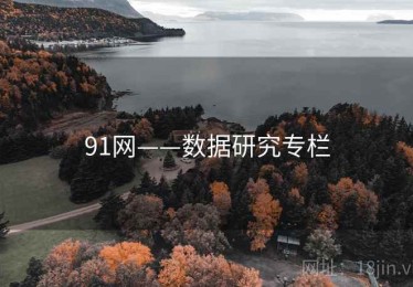 91网——数据研究专栏