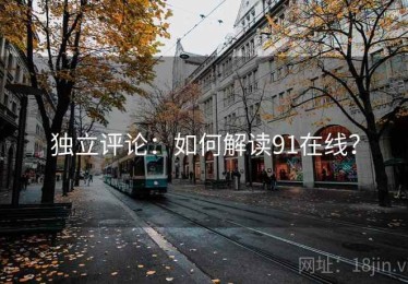 独立评论：如何解读91在线？