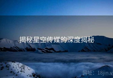 揭秘星空传媒的深度揭秘