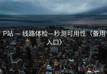 P站 — 线路体检—秒测可用性（备用入口）