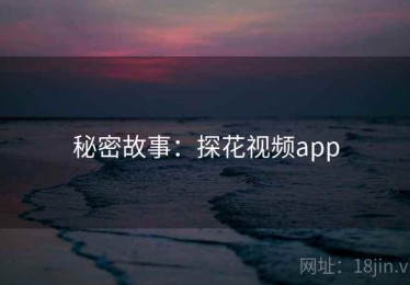 秘密故事：探花视频app