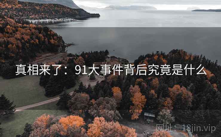 真相来了：91大事件背后究竟是什么