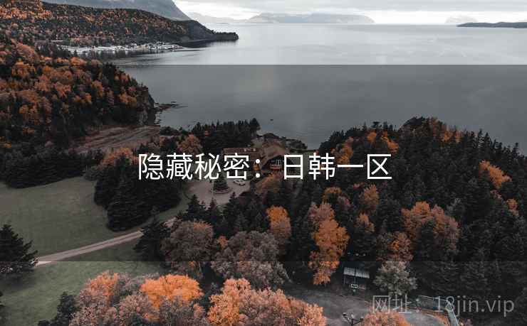 隐藏秘密：日韩一区