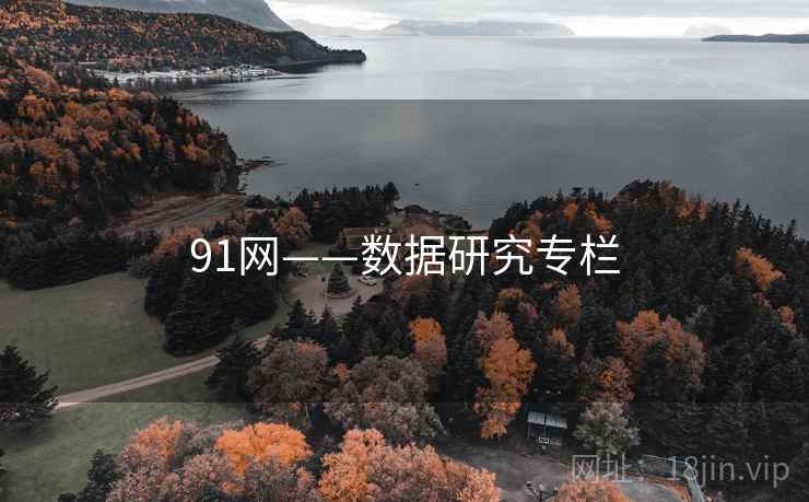 91网——数据研究专栏