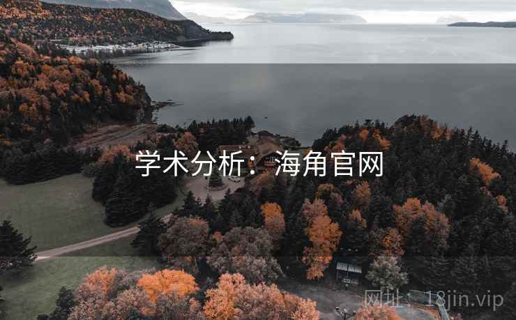 学术分析：海角官网