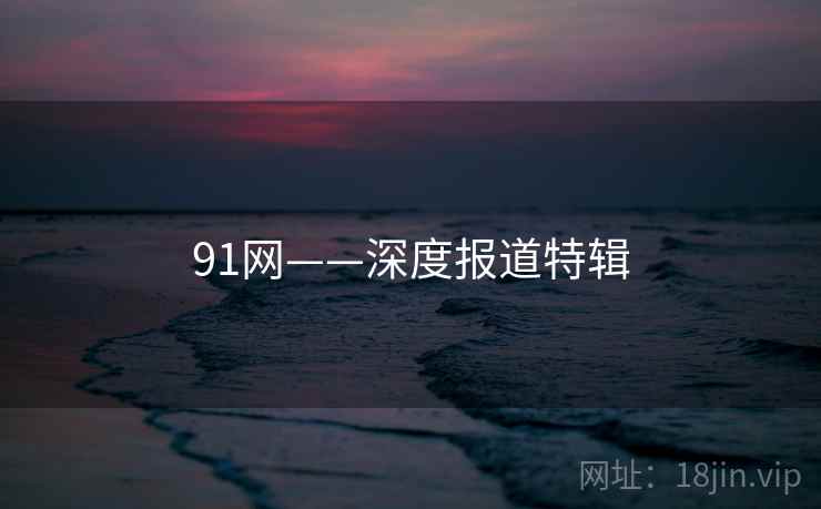 91网——深度报道特辑