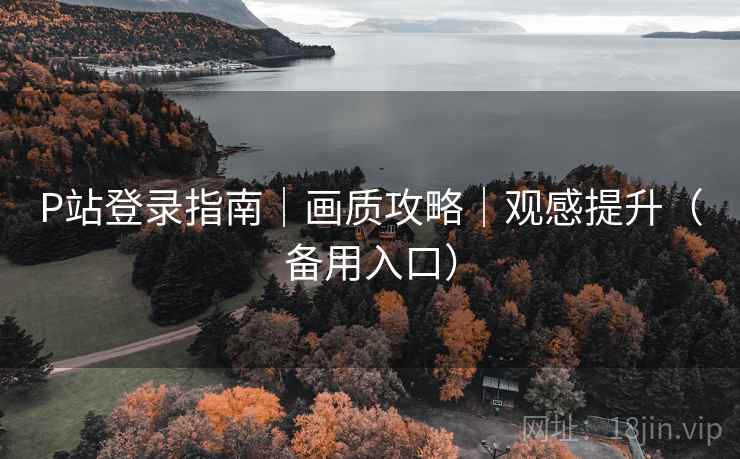 P站登录指南｜画质攻略｜观感提升（备用入口）