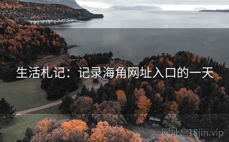 生活札记：记录海角网址入口的一天