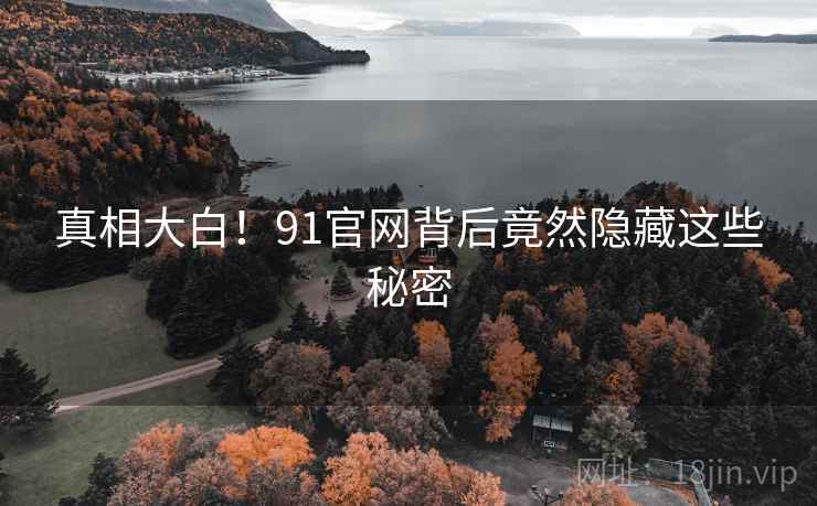 真相大白！91官网背后竟然隐藏这些秘密
