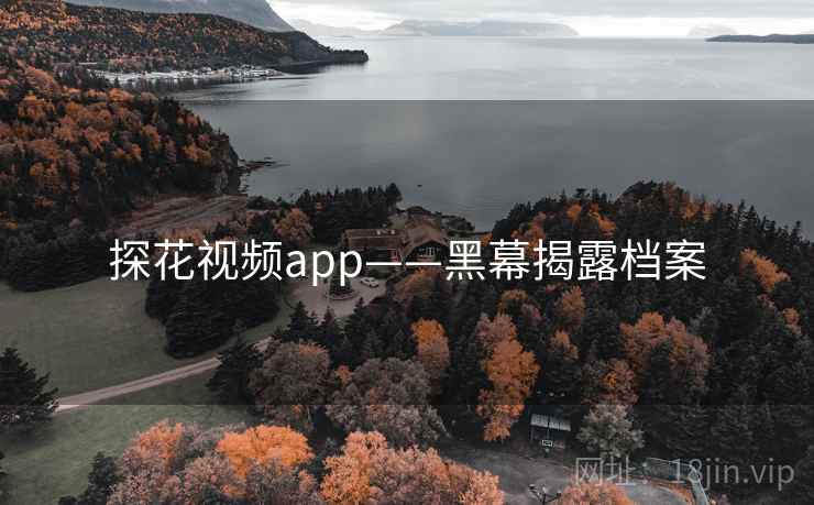 探花视频app——黑幕揭露档案
